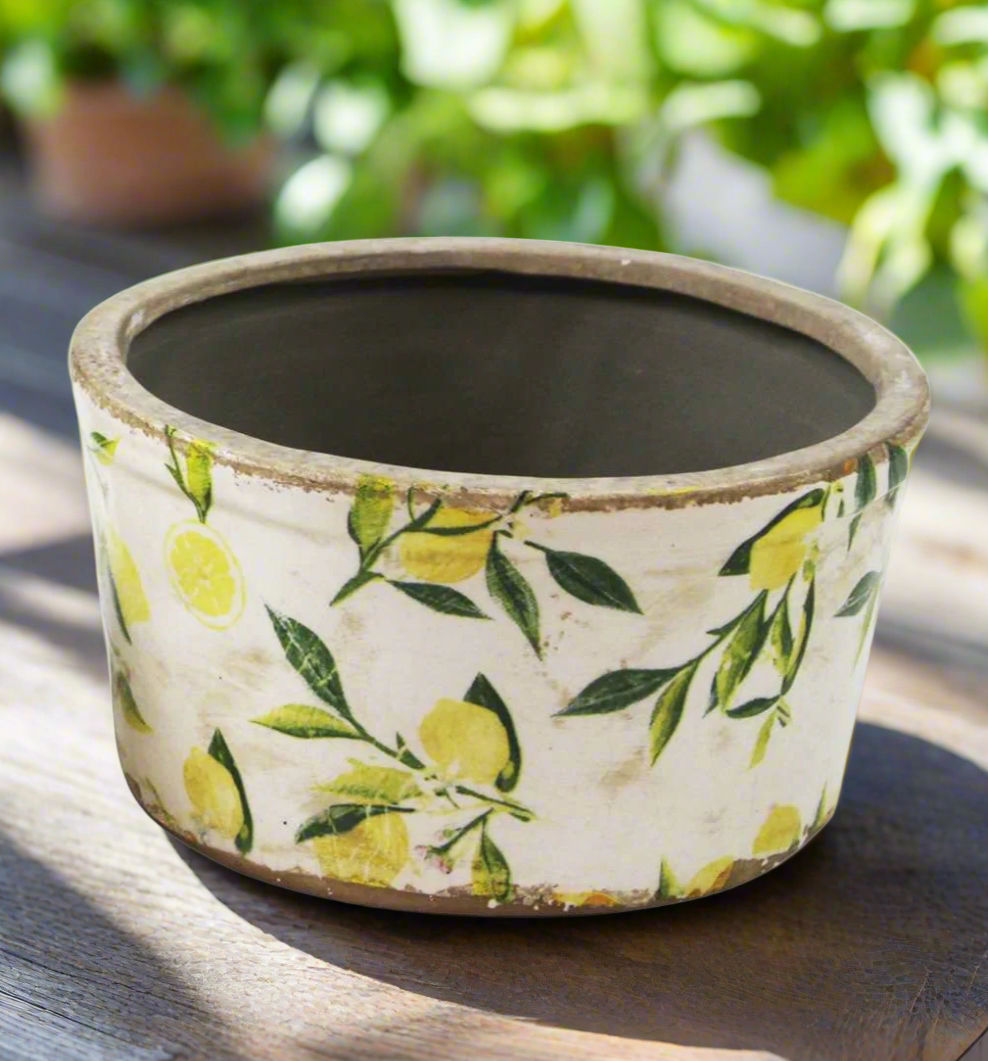 Lemon Planters