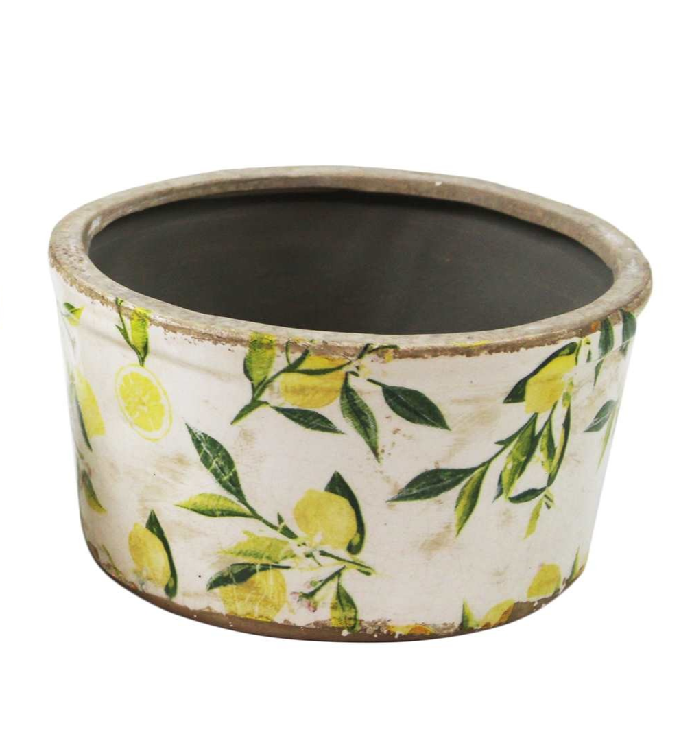 Lemon Planters