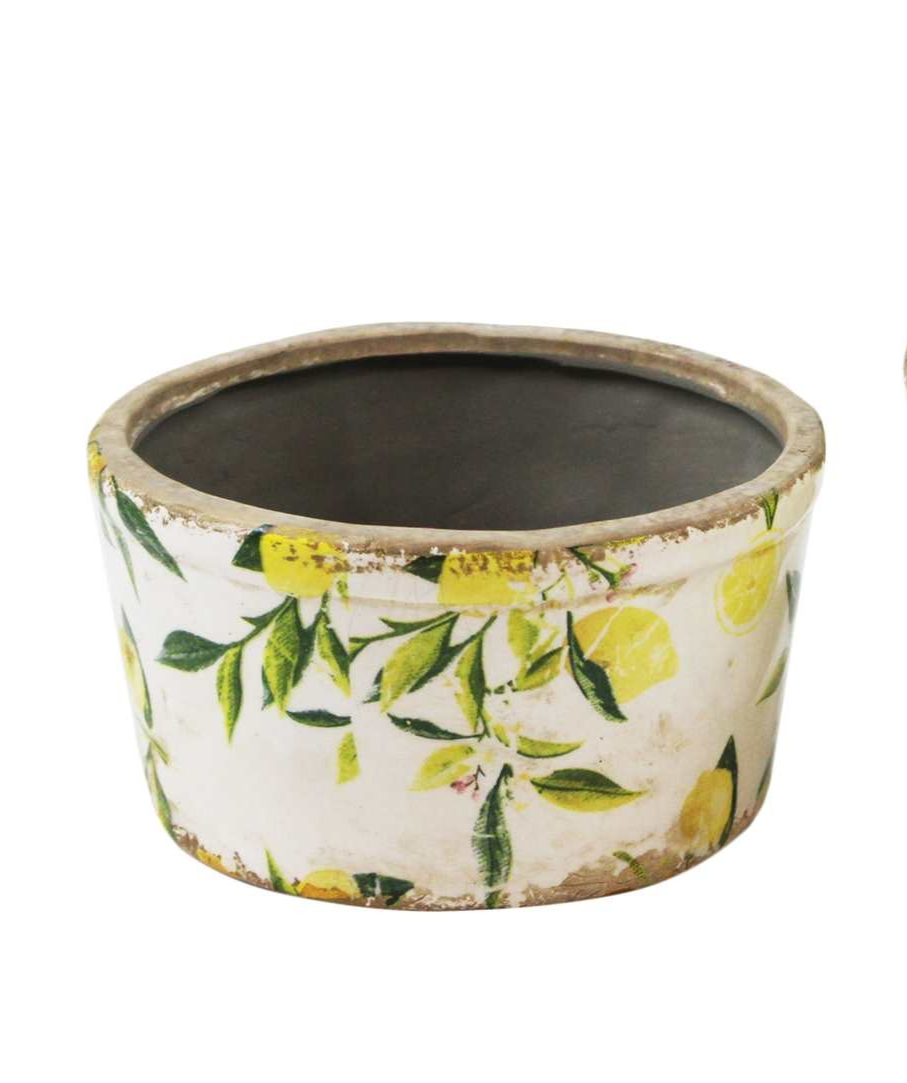 Lemon Planters