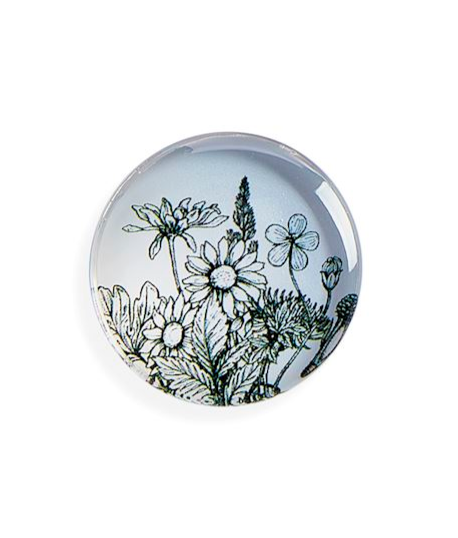 Assorted Floral Magnets
