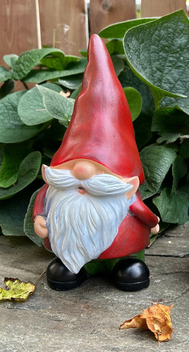 Garden Gnome