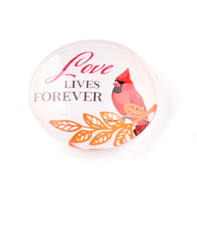 Cardinal Memorial Magnets