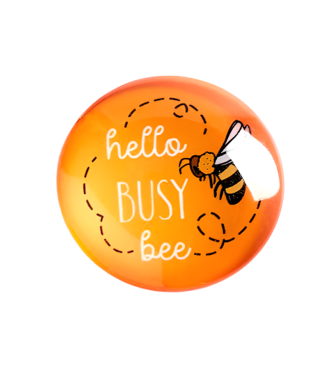 Assorted Bee Magnets