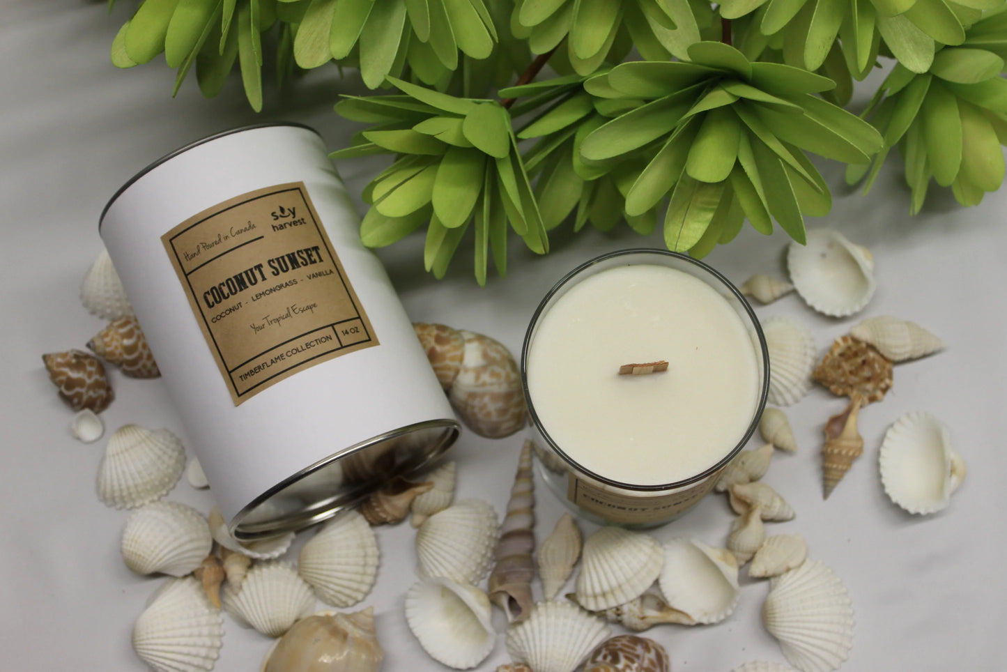 Coconut Sunset Soy Candle
