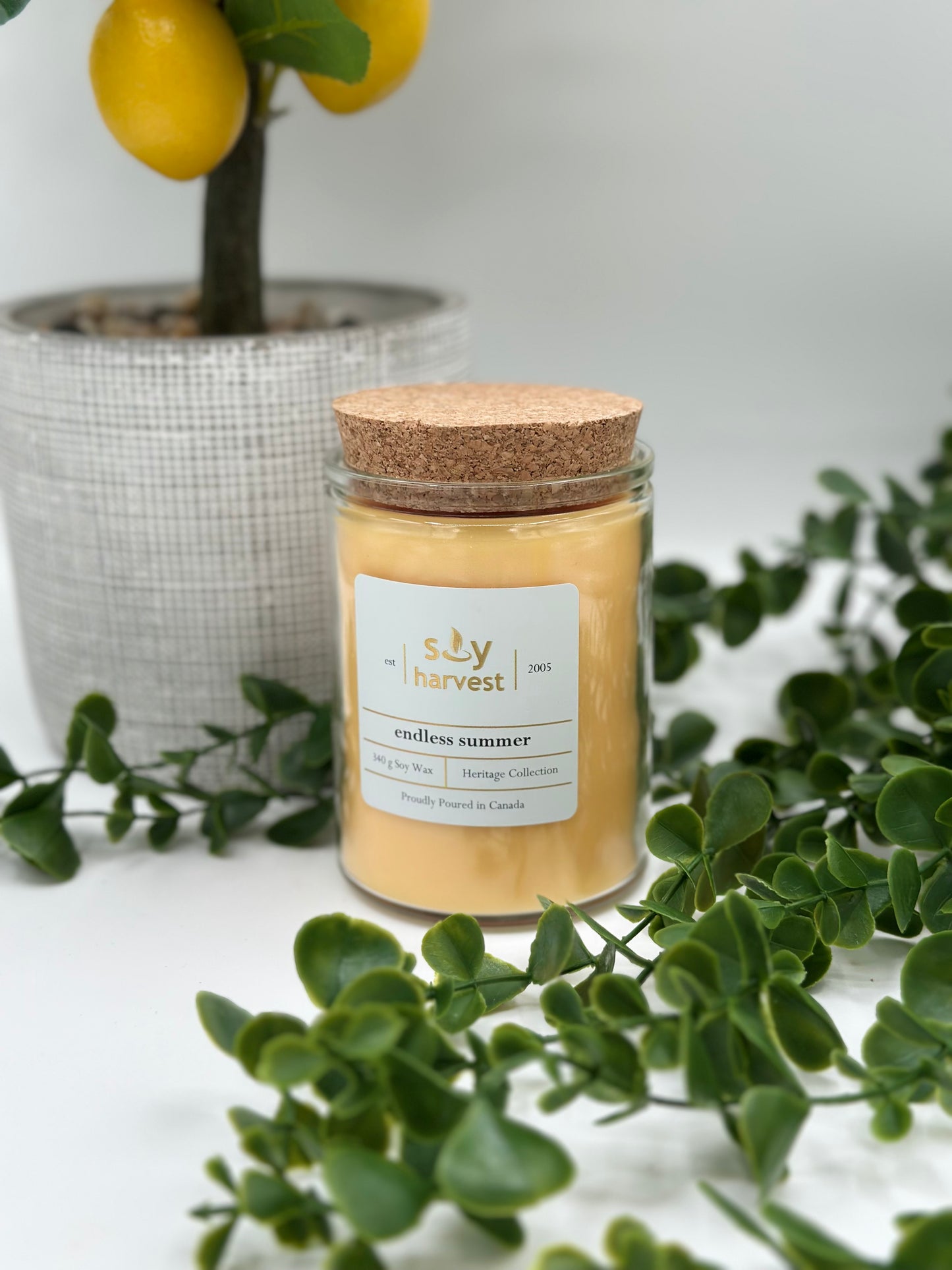 Endless Summer Soy Candle