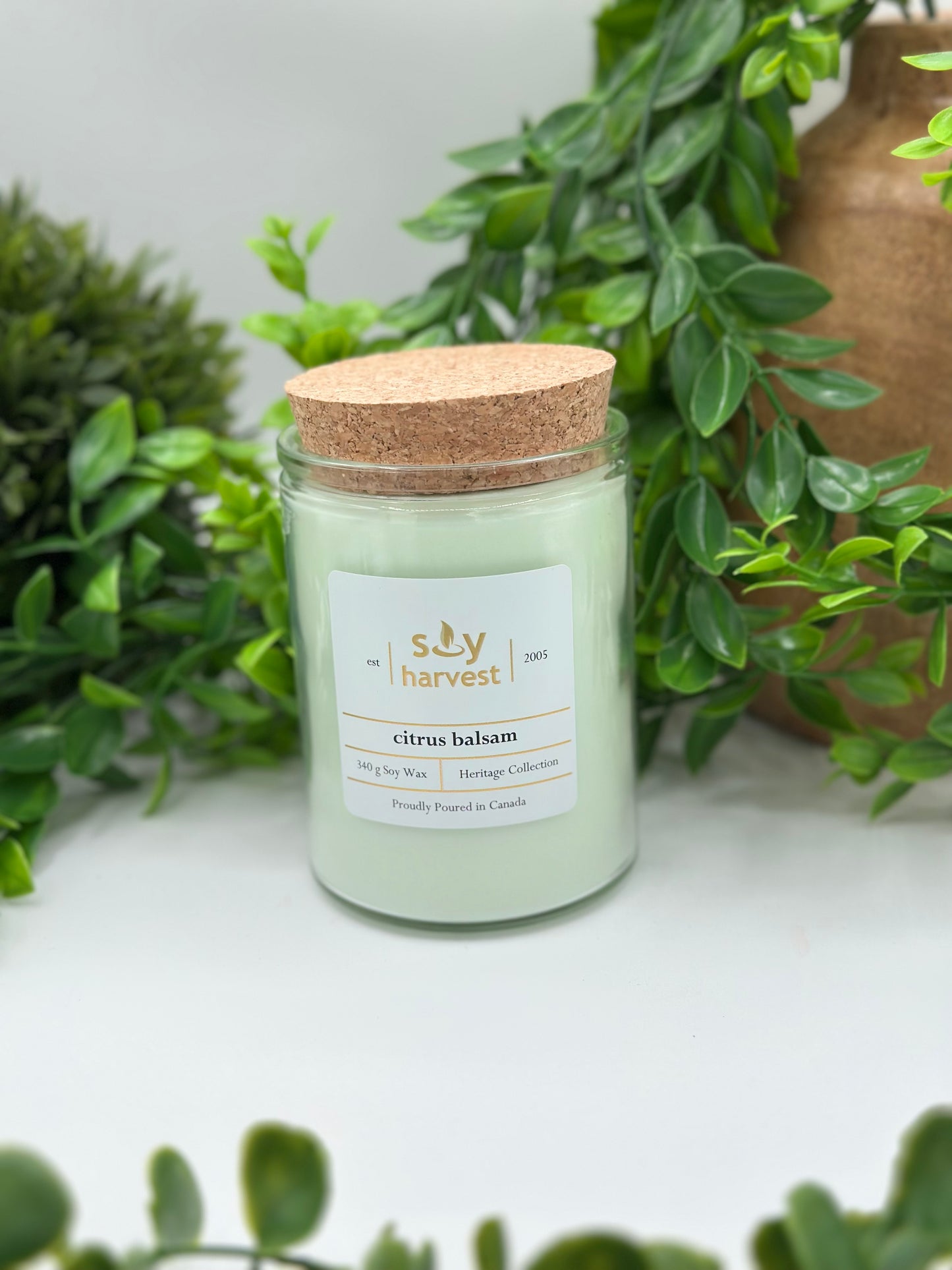 Citrus Balsam Soy Candle