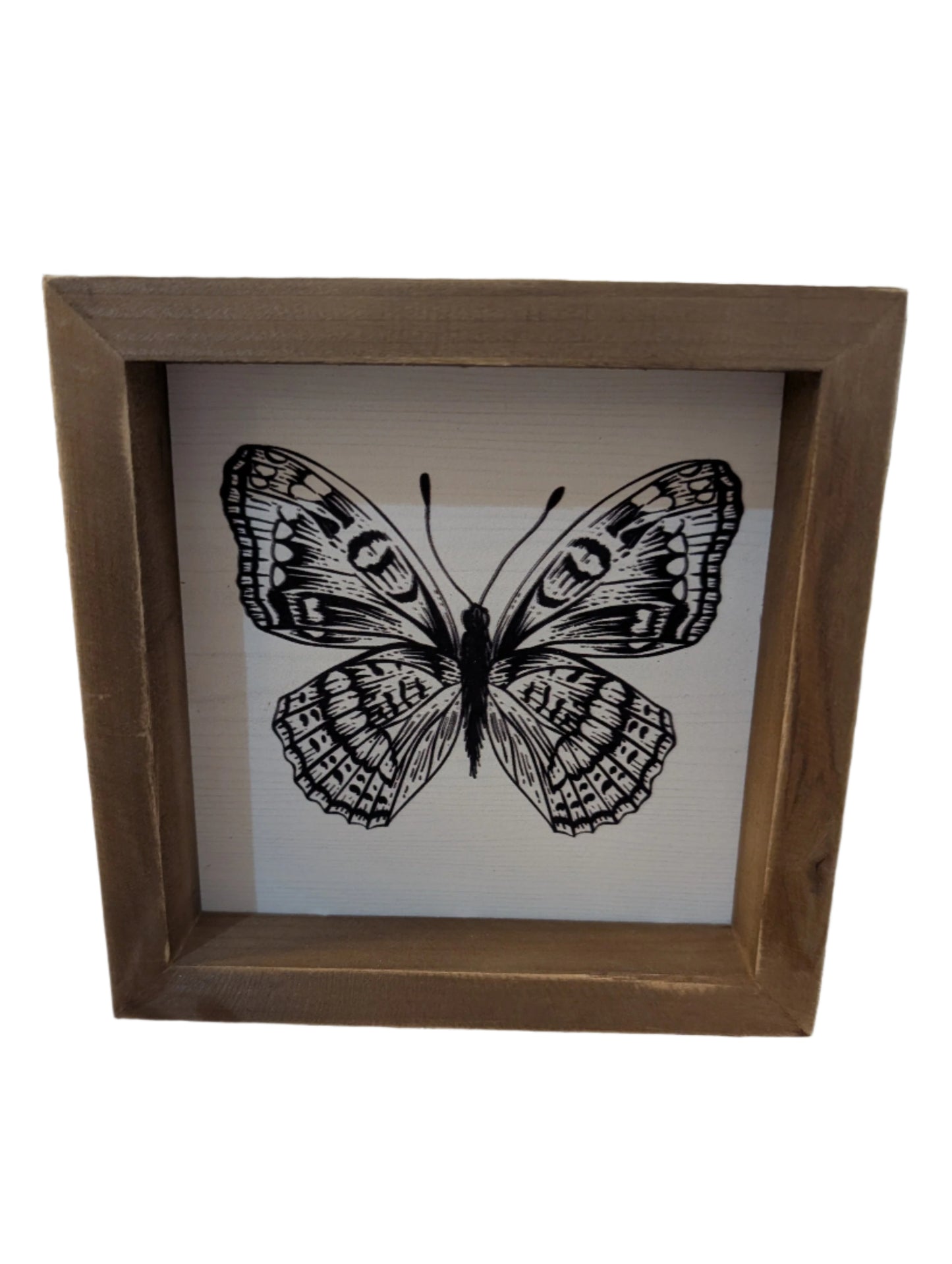 Square Framed Insect Art