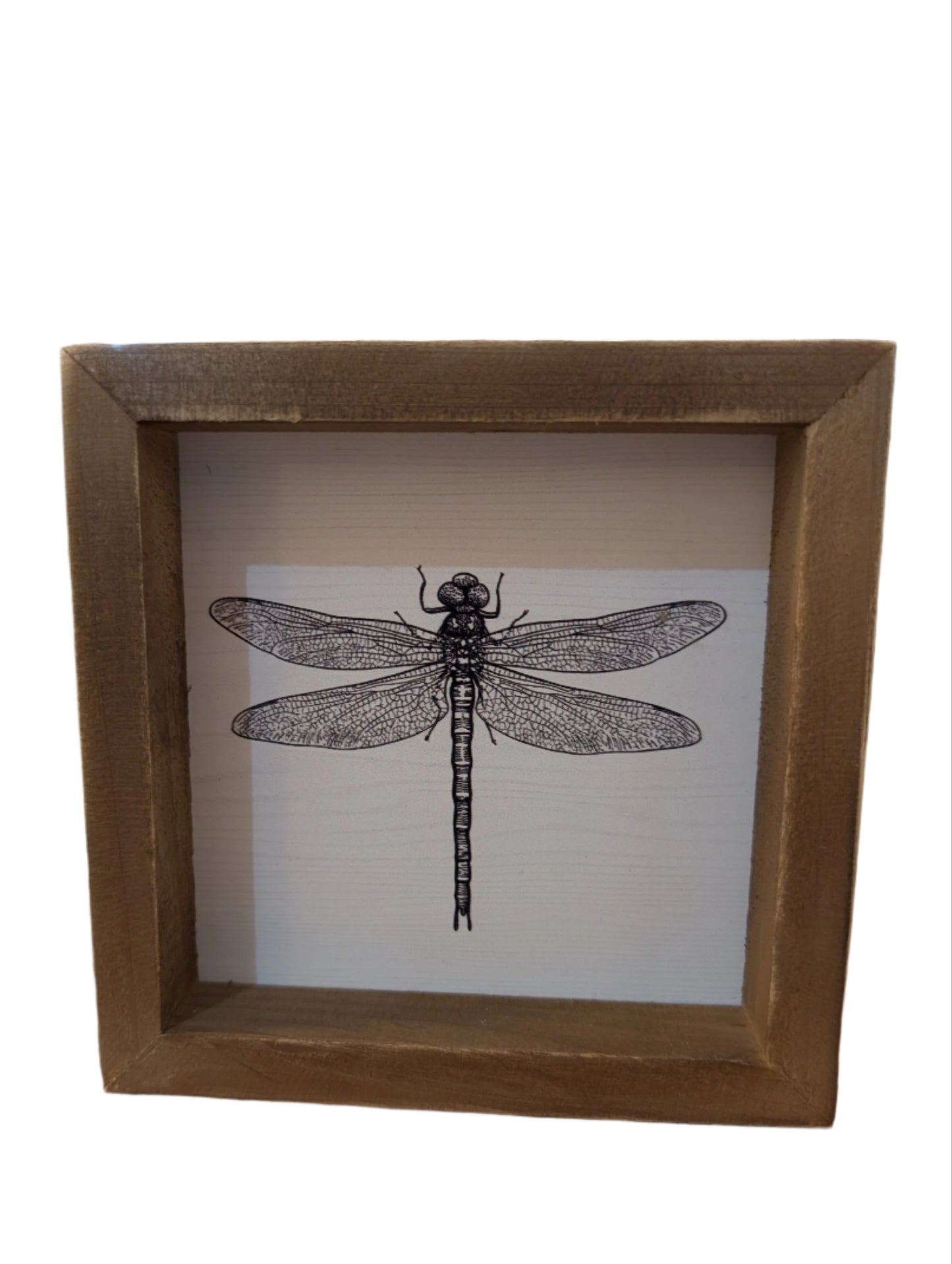 Square Framed Insect Art