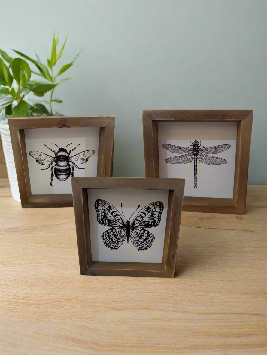 Square Framed Insect Art