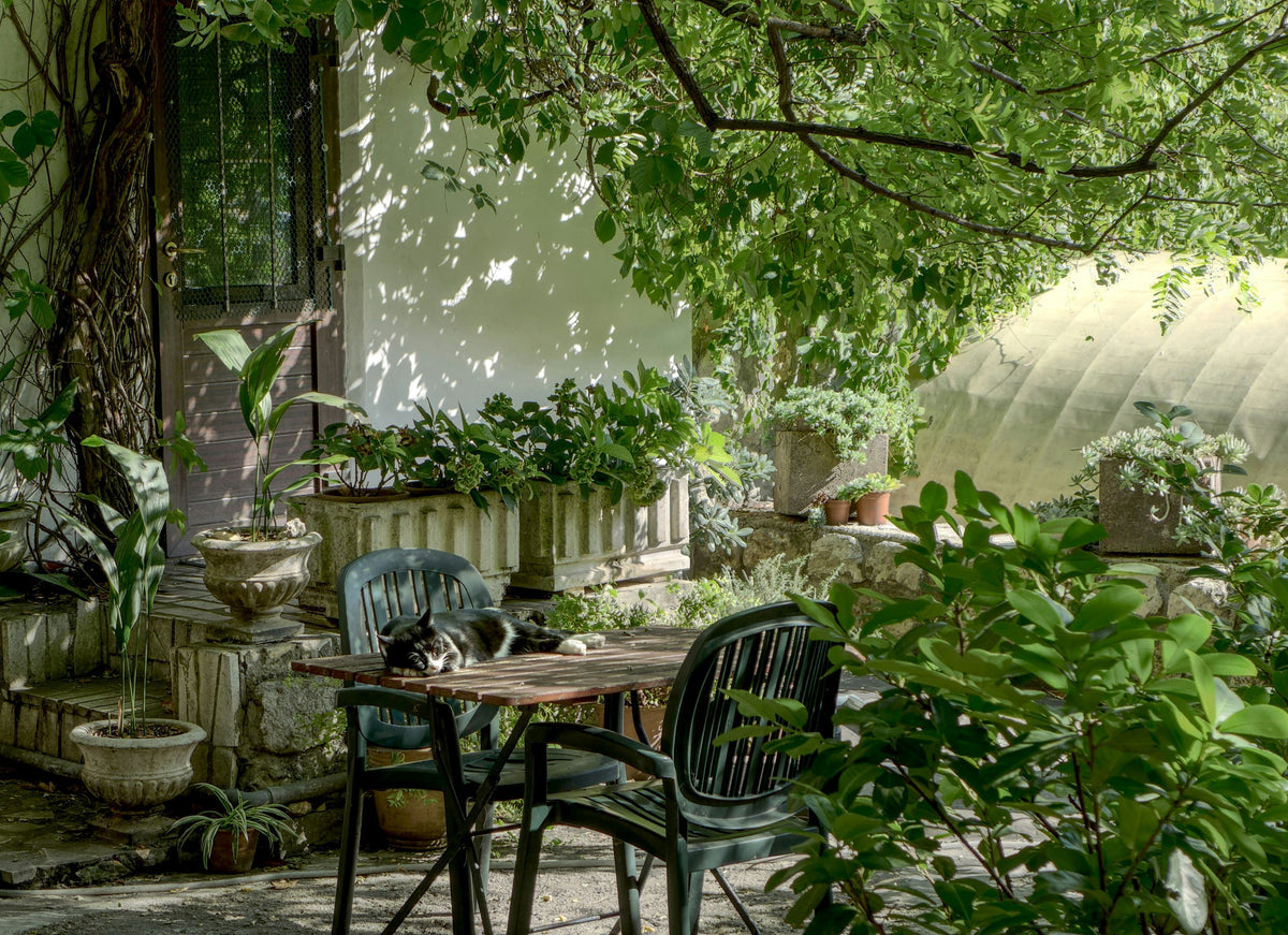 GARDEN & OUTDOOR