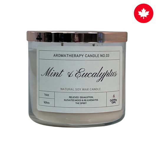 Mint & Eucalyptus 2-Wick Soy Aromatherapy Candle