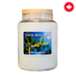 Sunshine Paraffin Candle