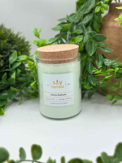 Citrus Balsam Soy Candle