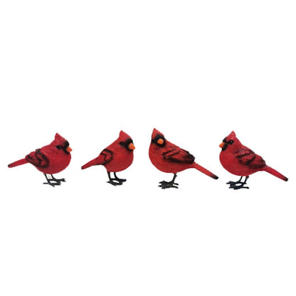 Love Is Near Cardinal