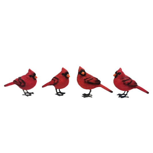 Love Is Near Cardinal