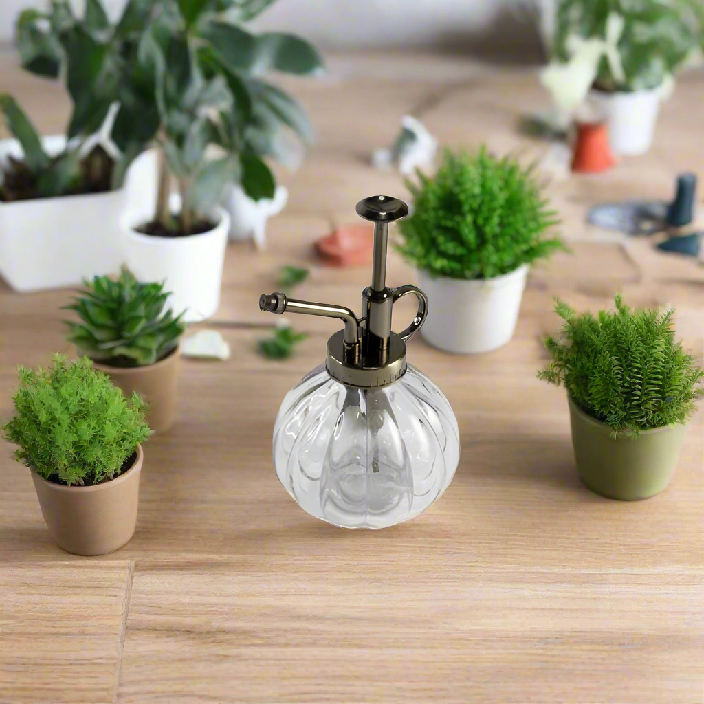 Glass Plant Mister
