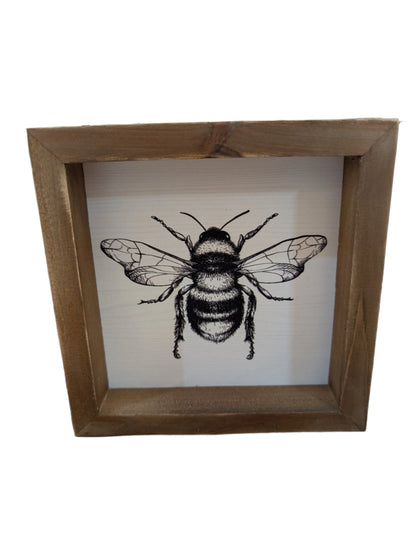 Square Framed Insect Art