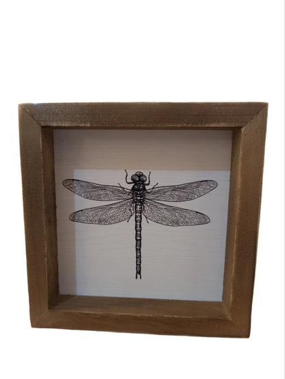 Square Framed Insect Art