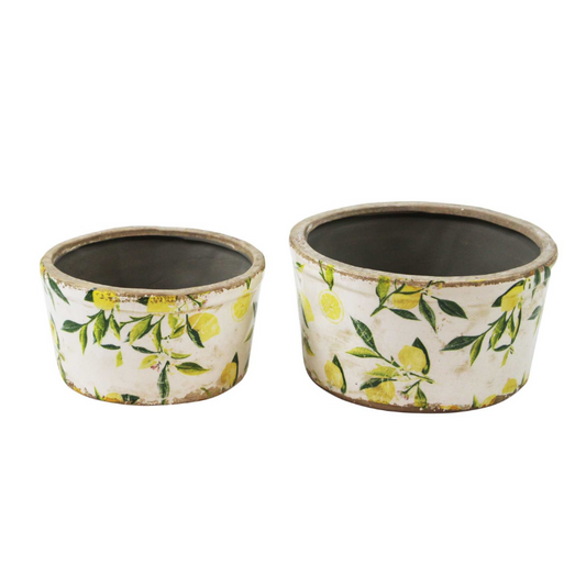 Lemon Planters