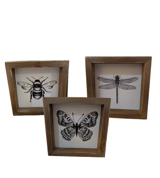 Square Framed Insect Art