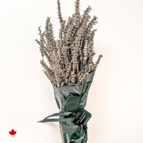 Dried French Lavender Bundle
