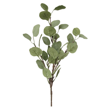 Eucalyptus, Silver Dollar Branch