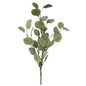 Eucalyptus, Silver Dollar Branch